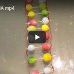 img dna
