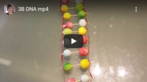 img dna